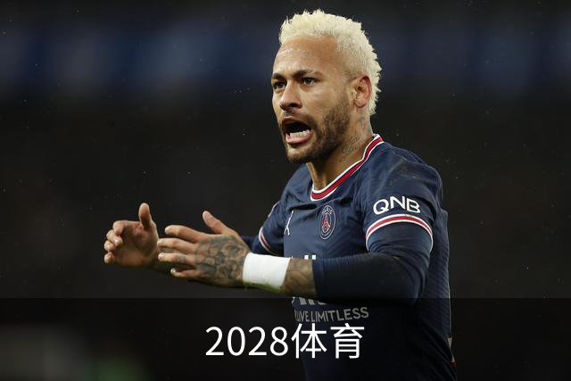 2028体育公司简介图片